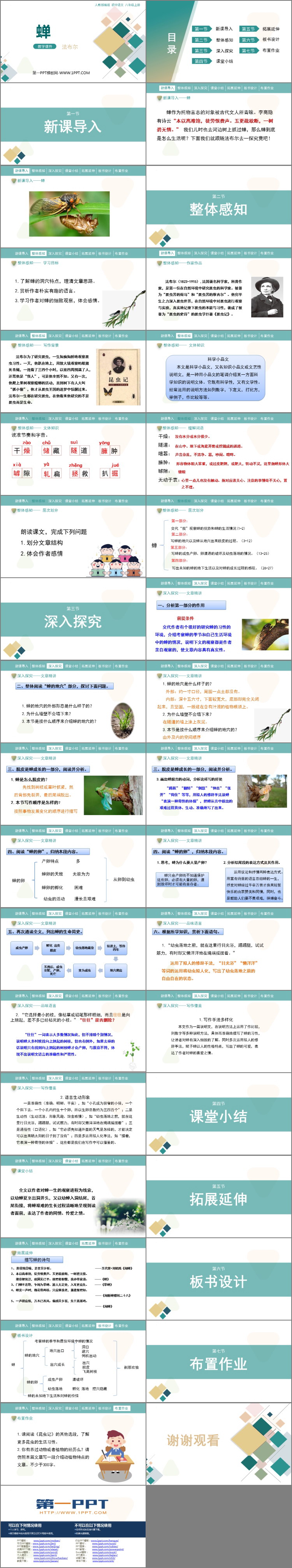图片[2]-蝉-第一PPT