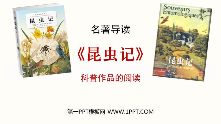 图片[1]-《昆虫记》PPT教学课件-第一PPT