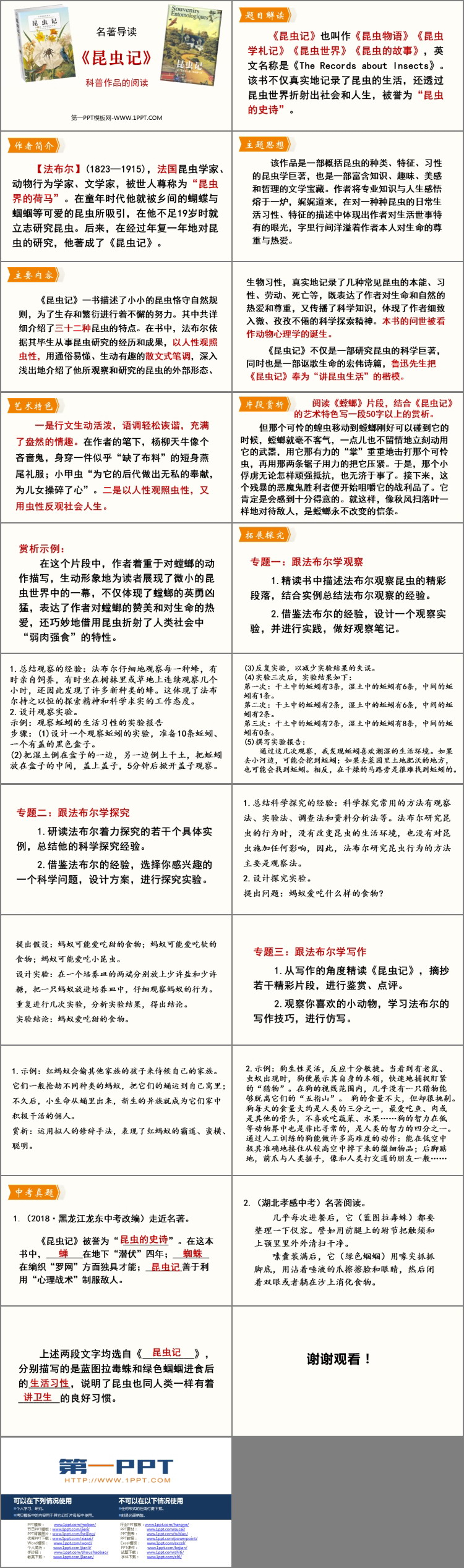 图片[2]-《昆虫记》PPT教学课件-第一PPT