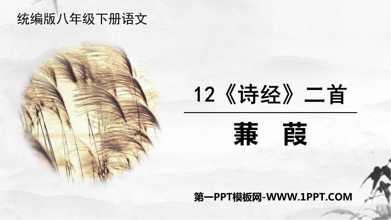 图片[1]-《蒹葭》PPT优质课件下载-第一PPT