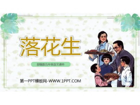 《落花生》PPT优质课件下载-第一PPT