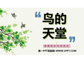 《鸟的天堂》PPT免费课件下载-第一PPT