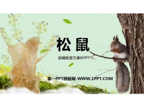 《松鼠》PPT教学课件免费下载-第一PPT