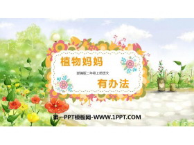 《植物妈妈有办法》PPT免费教学课件-第一PPT