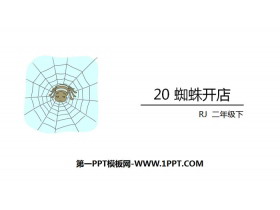 《蜘蛛开店》PPT课件下载-第一PPT