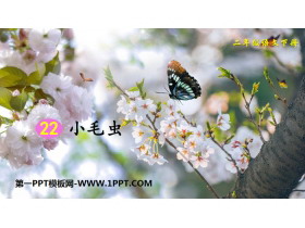 《小毛虫》PPT免费课件-第一PPT