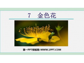 《金色花》PPT课文课件下载-第一PPT