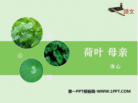 《荷叶·母亲》PPT课文课件-第一PPT
