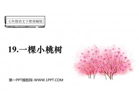 《一棵小桃树》PPT优质课件下载-第一PPT