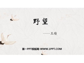 《野望》PPT精品课件-第一PPT