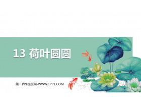 《荷叶圆圆》PPT优秀课件-第一PPT