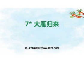 《大雁归来》PPT优秀课件-第一PPT