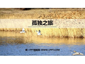 《孤独之旅》PPT优质课件下载-第一PPT