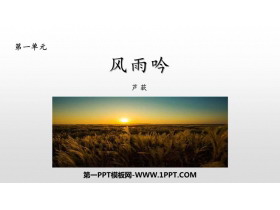 《风雨吟》PPT课件-第一PPT