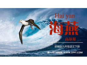《海燕》PPT精品教学课件-第一PPT
