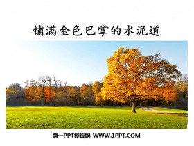 《铺满金色巴掌的水泥道》PPT优质课件-第一PPT