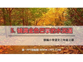 《铺满金色巴掌的水泥道》PPT课文课件下载-第一PPT