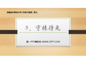 《守株待兔》PPT免费下载-第一PPT