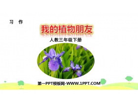 《我的植物朋友》PPT免费下载-第一PPT