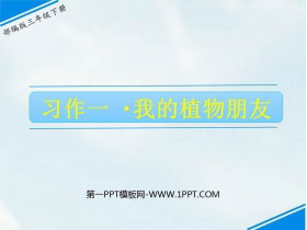 《我的植物朋友》PPT优质课件-第一PPT