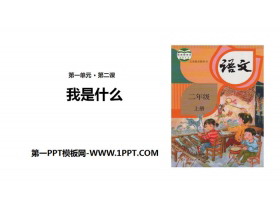 《我是什么》PPT优秀课件下载-第一PPT