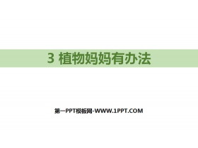 《植物妈妈有办法》PPT优秀课件-第一PPT