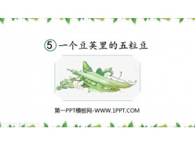 《一个豆荚里的五粒豆》PPT免费课件-第一PPT