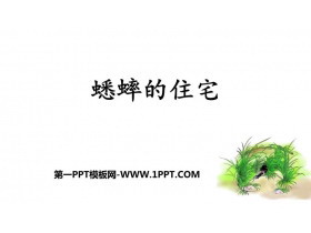 《蟋蟀的住宅》PPT优秀课件下载-第一PPT