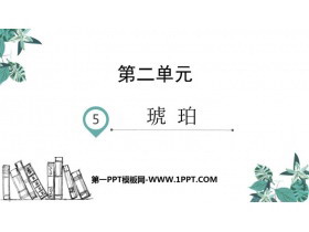 《琥珀》PPT免费课件-第一PPT