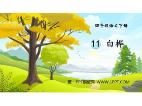 《白桦》PPT教学课件-第一PPT