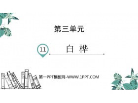《白桦》PPT免费下载-第一PPT