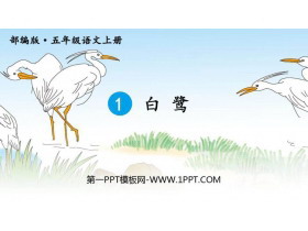 《白鹭》PPT优秀课件-第一PPT