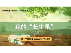 《我的“长生果”》PPT免费下载-第一PPT