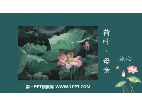 《荷叶·母亲》PPT优秀课件-第一PPT
