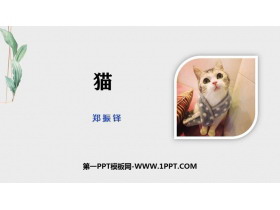 《猫》PPT教学课件下载-第一PPT