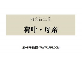 《荷叶·母亲》散文诗二首PPT课件-第一PPT