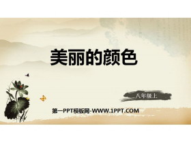 《美丽的颜色》PPT下载-第一PPT