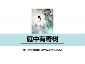 《庭中有奇树》课外古诗词诵读PPT-第一PPT