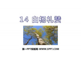 《白杨礼赞》PPT精品课件-第一PPT