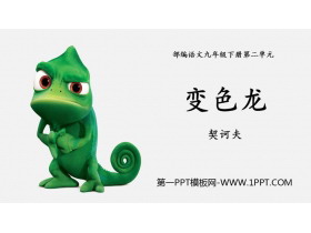 《变色龙》PPT优秀课件-第一PPT