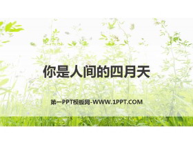 《你是人间的四月天》PPT优质课件-第一PPT