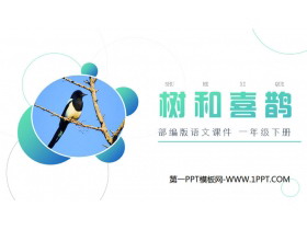 《树和喜鹊》PPT课件免费下载-第一PPT