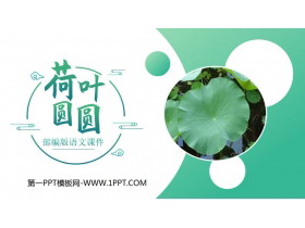 《荷叶圆圆》PPT课件免费下载-第一PPT
