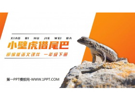 《小壁虎借尾巴》PPT课件免费下载-第一PPT