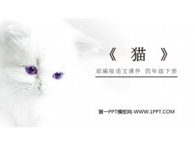 《猫》PPT课件免费下载-第一PPT