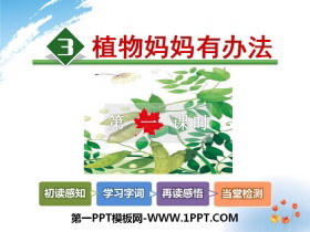 《植物妈妈有办法》PPT-第一PPT
