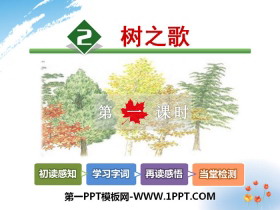 《树之歌》PPT-第一PPT