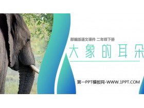 《大象的耳朵》PPT课件免费下载-第一PPT