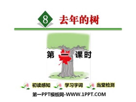 《去年的树》PPT-第一PPT