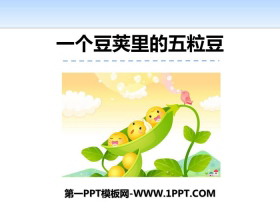 《一个豆荚里的五粒豆》PPT教学课件-第一PPT
